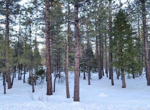 Photo of 0 Glacier Dr Lot 12, Alturas, CA 96101 (MLS # PTP2405604)