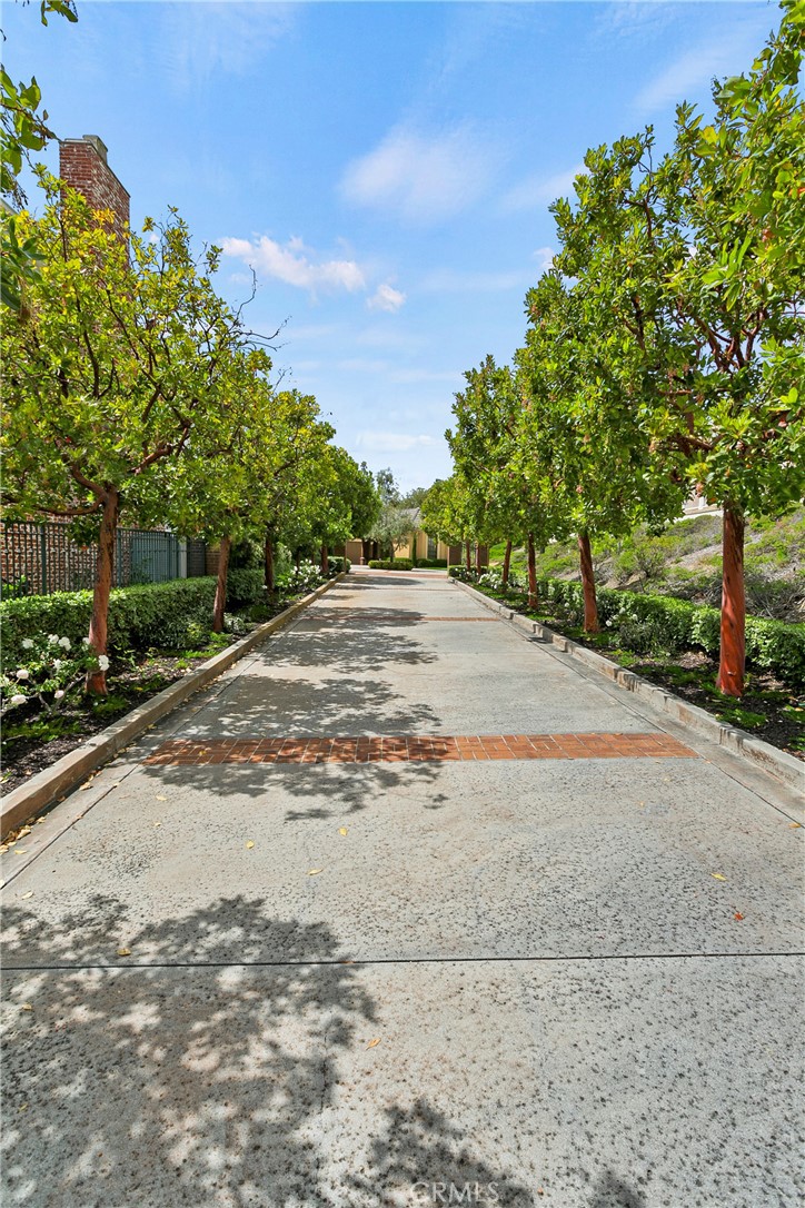 Ocean Ranch ~ Custom (BBC) - Residential