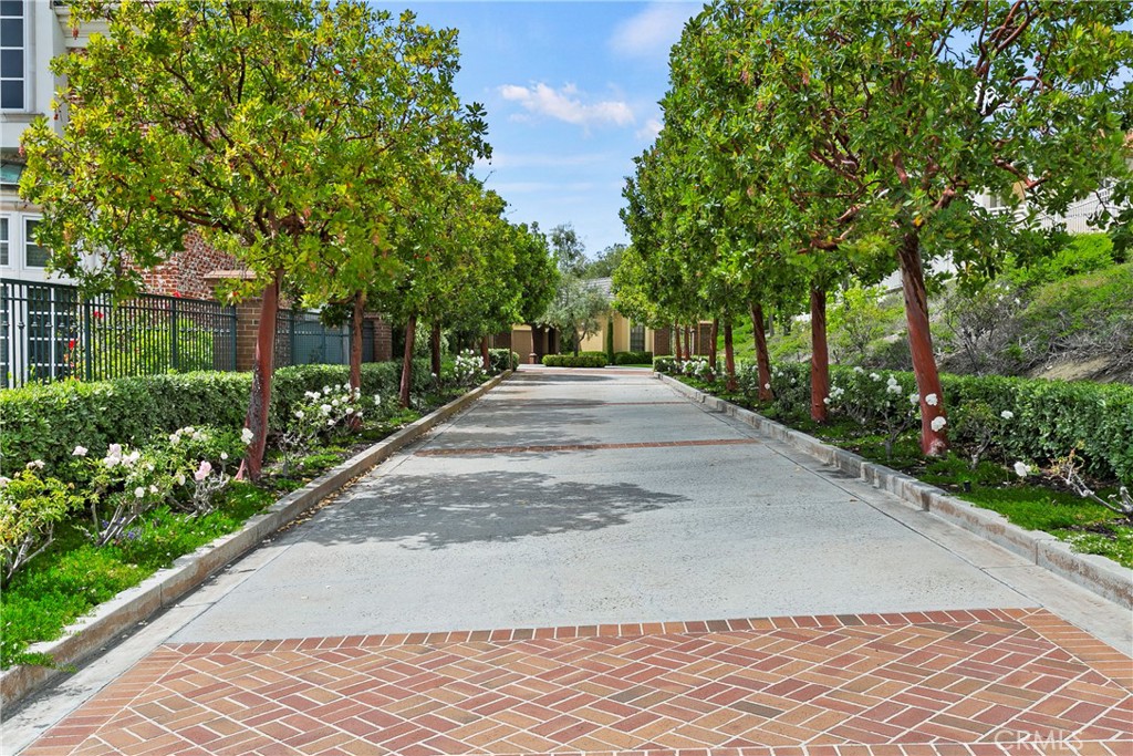 Ocean Ranch ~ Custom (BBC) - Residential