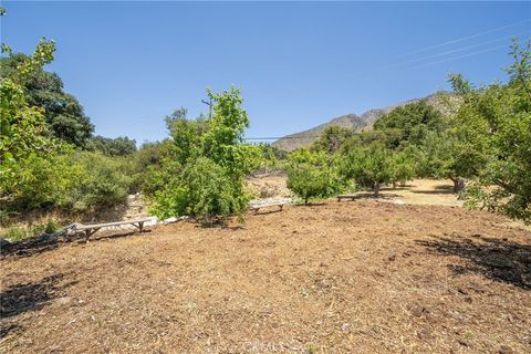 A home in Oak Glen