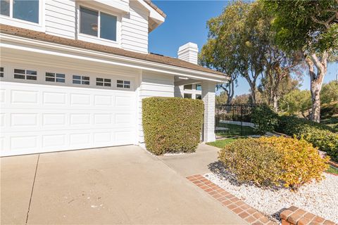 A home in Laguna Niguel