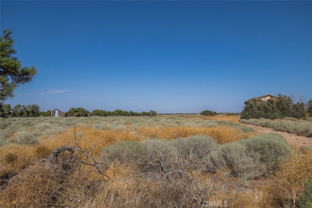 View Lancaster, CA 93536 house