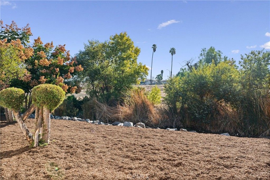 listing image 36