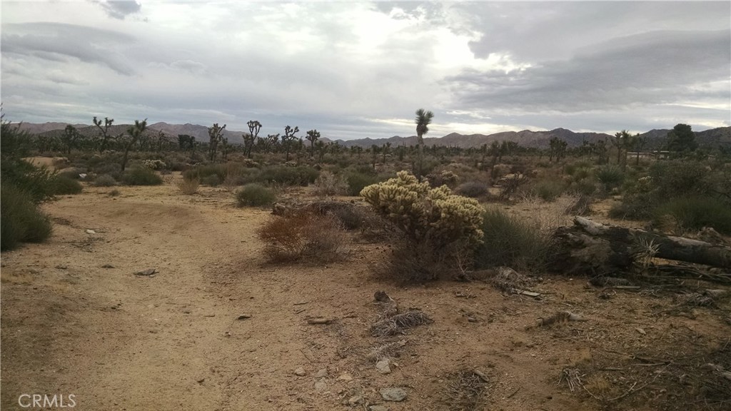 Southside of Yucca Valley, California 7 acres +- . Sub-divide up to 14 Homes, Condos, Mobile home or RV Park, SFH. Sewer, water and power Buyers to verify as to permits call the Town Of Yucca Valley Building Safety.