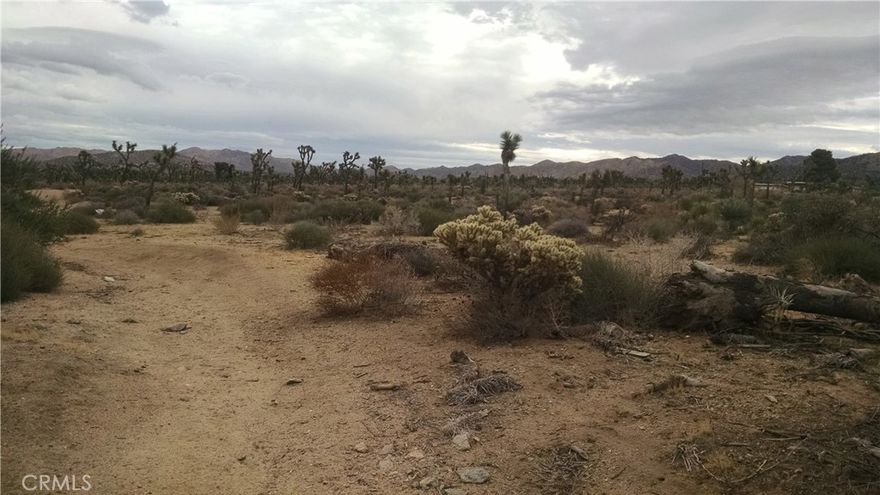 Southside of Yucca Valley, California  7 acres +- . Sub-divide up to 14 Homes, Condos, Mobile home or RV Park, SFH.  Sewer, water and power  Buyers to verify as to permits call the Town Of Yucca Valley Building Safety.