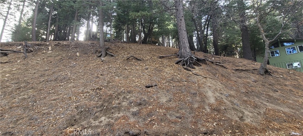 Lower Rowco (LORW) - Land