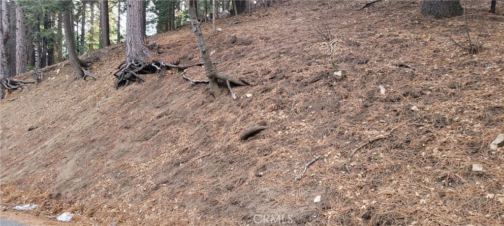 Scenic upslope lot nestled in the San Bernardino Mountains on Spring Oak Dr. in Running Springs. Prime location offering easy access to Highway 330 & 18, making it convenient for commuting. This buildable lot provides a fantastic opportunity to create a mountain retreat with stunning views in a serene setting.