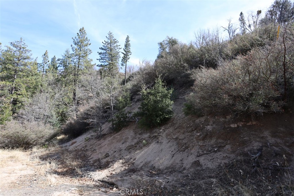 Cedar Glen (CEDG) - Land