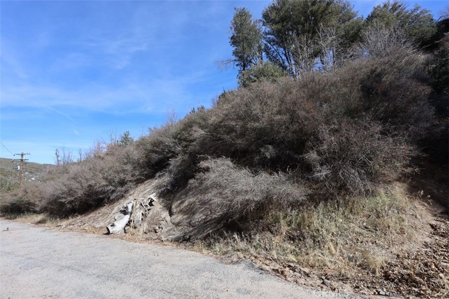 Tucked away in the tranquil mountain community of Cedar Glen, 717 Acacia Road offers a rare opportunity to own a piece of nature’s beauty. Surrounded by towering pines and crisp mountain air, this property provides the perfect setting to build your dream retreat or investment getaway. Whether you're looking for a peaceful escape from city life or a basecamp for outdoor adventure, this location delivers.



The property’s natural surroundings make it an ideal spot for those who love hiking, fishing, and exploring the nearby trails of the San Bernardino Mountains. With Lake Arrowhead just a short drive away, you’ll have easy access to boating, watersports, and charming local shops and restaurants. Cedar Glen’s unique blend of rustic charm and modern conveniences creates a welcoming atmosphere for both full-time residents and weekend visitors.



While details on utilities and lot specifics should be verified, this land holds immense potential for the right buyer. The serene environment, combined with its proximity to year-round recreational activities, makes it a promising investment for anyone looking to build in a sought-after mountain community. Whether you’re envisioning a cozy cabin or a custom mountain retreat, 717 Acacia Road is the perfect canvas to bring your vision to life.