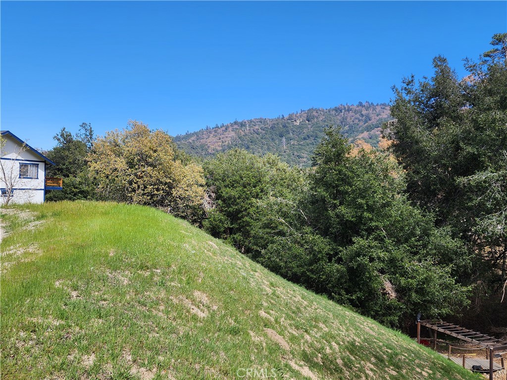 Beautiful gentle downslope view lot located in the popular San Moritz area near Lake Gregory! Approx. 6,500 SQ FT of land with big gorgeous oaks, pines and cedars all around. Sunny setting with fantastic distant ridgeline views and a great feeling of privacy. All utilities (water,electric,gas,phone,high speed internet,cable) conveniently located at or near the street. Lot is located on paved & county maintained Davos Drive with beautiful custom homes throughout the neighborhood. This property is priced to sell. Seller may carry/finance with reasonable down payment for the lucky Buyer! Don't miss this great opportunity...make your offer today!