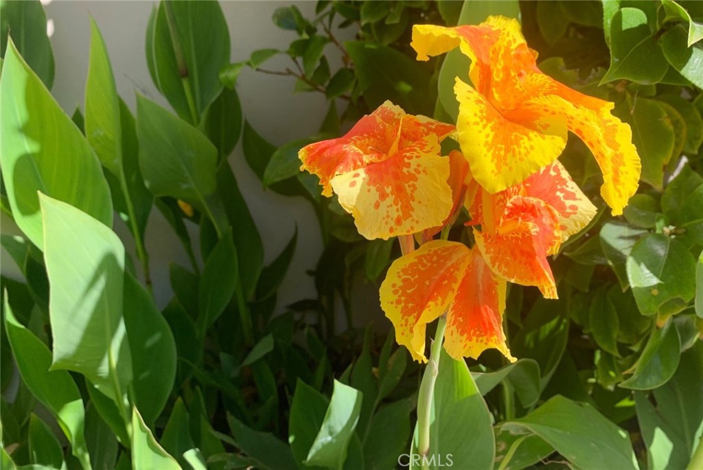 Ritz Cove (RC) - Residential