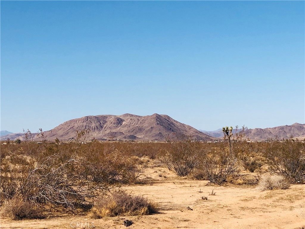 Unobstructed views and privacy from this 2+ acre corner lot. Fantastic views across the desert to mountains in the distance. Make this your off-the-grid sanctuary. No water or power in the area. Good dirt roads in the area to access. Enjoy peaceful sunsets while listening to coyotes howl in the distance. Experience unbelievable stargazing that you must see to believe. Close to Wat Santi Buddhist Temple. Short drive to Joshua Tree shops, attractions, and National Park. Property does not have an assigned address - for listing purposes only. APN: 0631-261-08-0000 GPS: (34.2426446, -116.3248988)