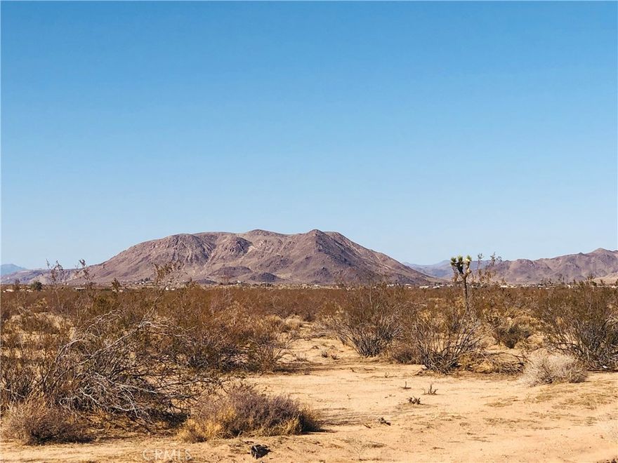 Unobstructed views and privacy from this 2+ acre corner lot. Fantastic views across the desert to mountains in the distance. Make this your off-the-grid sanctuary. No water or power in the area. Good dirt roads in the area to access. Enjoy peaceful sunsets while listening to coyotes howl in the distance. Experience unbelievable stargazing that you must see to believe. Close to Wat Santi Buddhist Temple. Short drive to Joshua Tree shops, attractions, and National Park. Property does not have an assigned address - for listing purposes only. APN: 0631-261-08-0000 GPS: (34.2426446, -116.3248988)