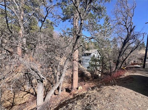 Photo of 1230 S Minton Avenue, Big Bear City, CA 92314 (MLS # IG25081551)
