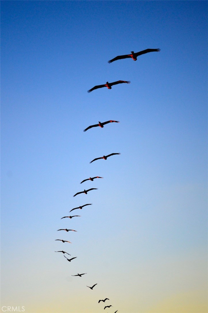 Monarch Bay (MB) - Residential