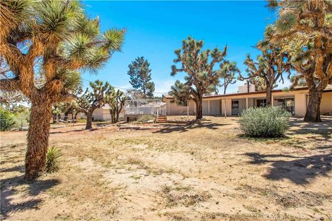 A home in Yucca Valley