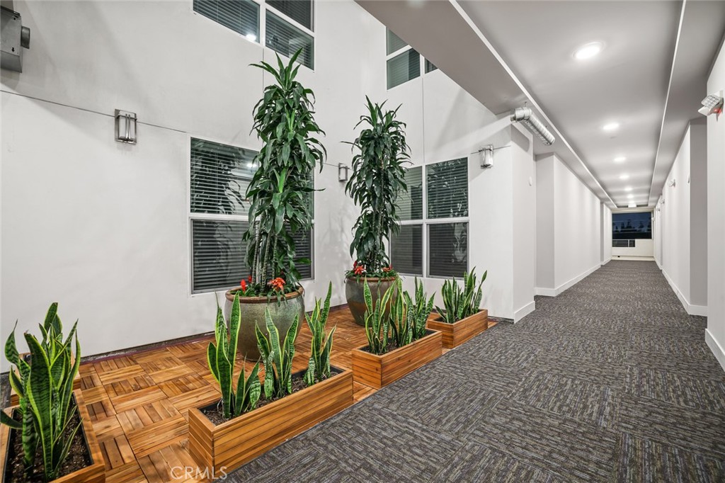 5820 La Mirada Avenue 204