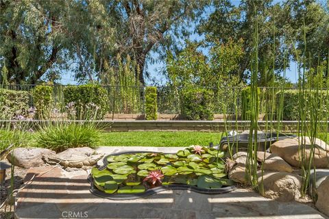 A home in Anaheim Hills