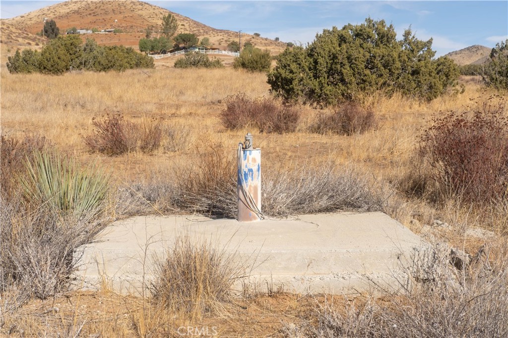 Custom Acton (CACTO) - Land