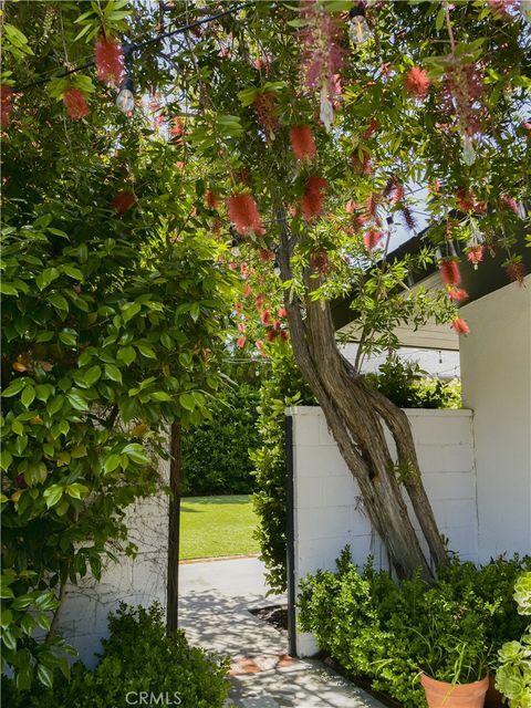 A home in Tarzana