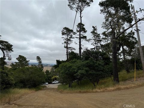 Tiny photo for 0 Norton Lane, Cambria, CA 93428 (MLS # SC24119942)