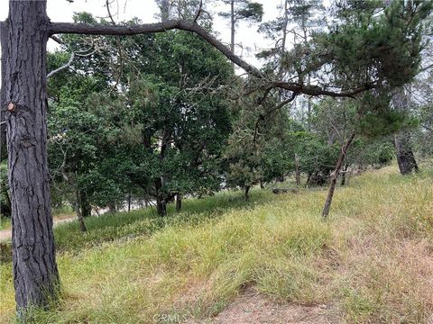 Tiny photo for 0 Norton Lane, Cambria, CA 93428 (MLS # SC24119942)