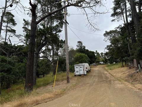 Tiny photo for 0 Norton Lane, Cambria, CA 93428 (MLS # SC24119942)