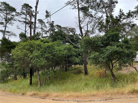Tiny photo for 0 Norton Lane, Cambria, CA 93428 (MLS # SC24119942)