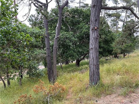 Tiny photo for 0 Norton Lane, Cambria, CA 93428 (MLS # SC24119942)