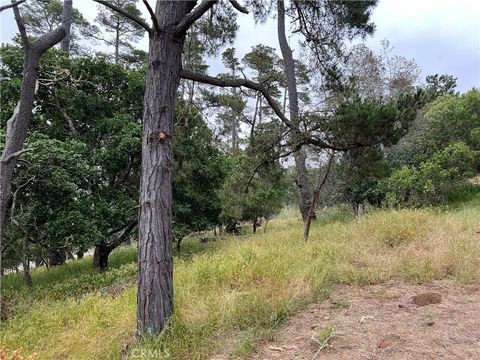 Photo of 0 Norton Lane, Cambria, CA 93428 (MLS # SC24119942) Photo of 0 Norton Lane, Cambria, CA 93428 (MLS # SC24119942)