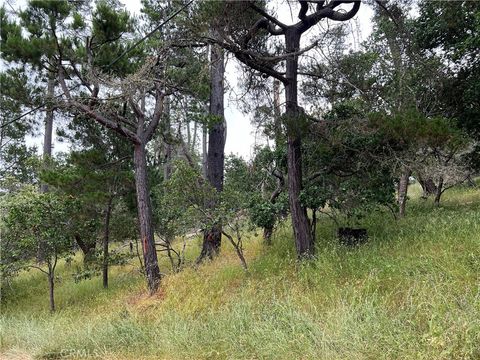 Tiny photo for 0 Norton Lane, Cambria, CA 93428 (MLS # SC24119942)