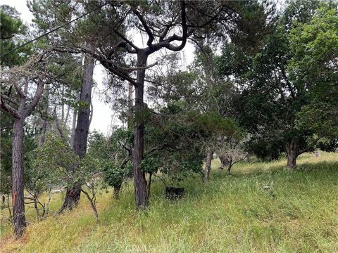 Tiny photo for 0 Norton Lane, Cambria, CA 93428 (MLS # SC24119942)