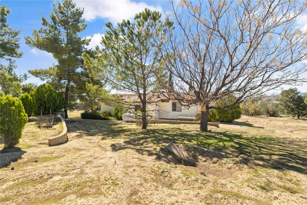 listing image 42