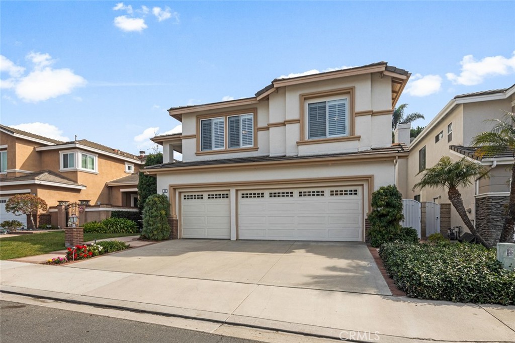 20 Rockrose 20 Rockrose