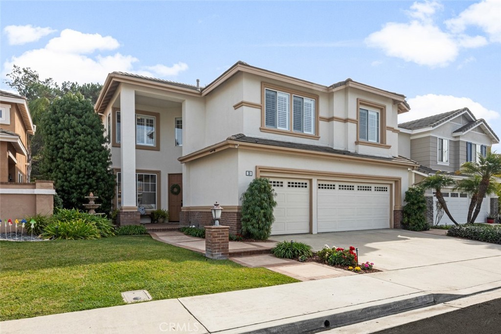 20 Rockrose 20 Rockrose