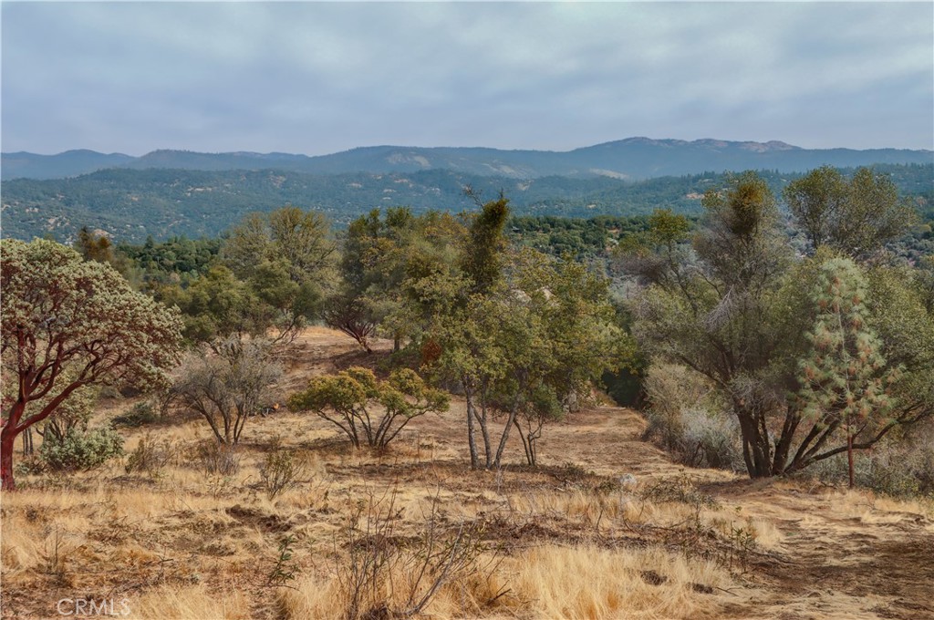 Incredible Views of the High Sierras!One of the last remaining undeveloped lots in the highly desirable Stillmeadow 1 neighborhood. Build your dream home today! The property has been recently brushed for easy access and visibility. Power is at the road. The lot next to it is for sale also. Seller Financing Available!