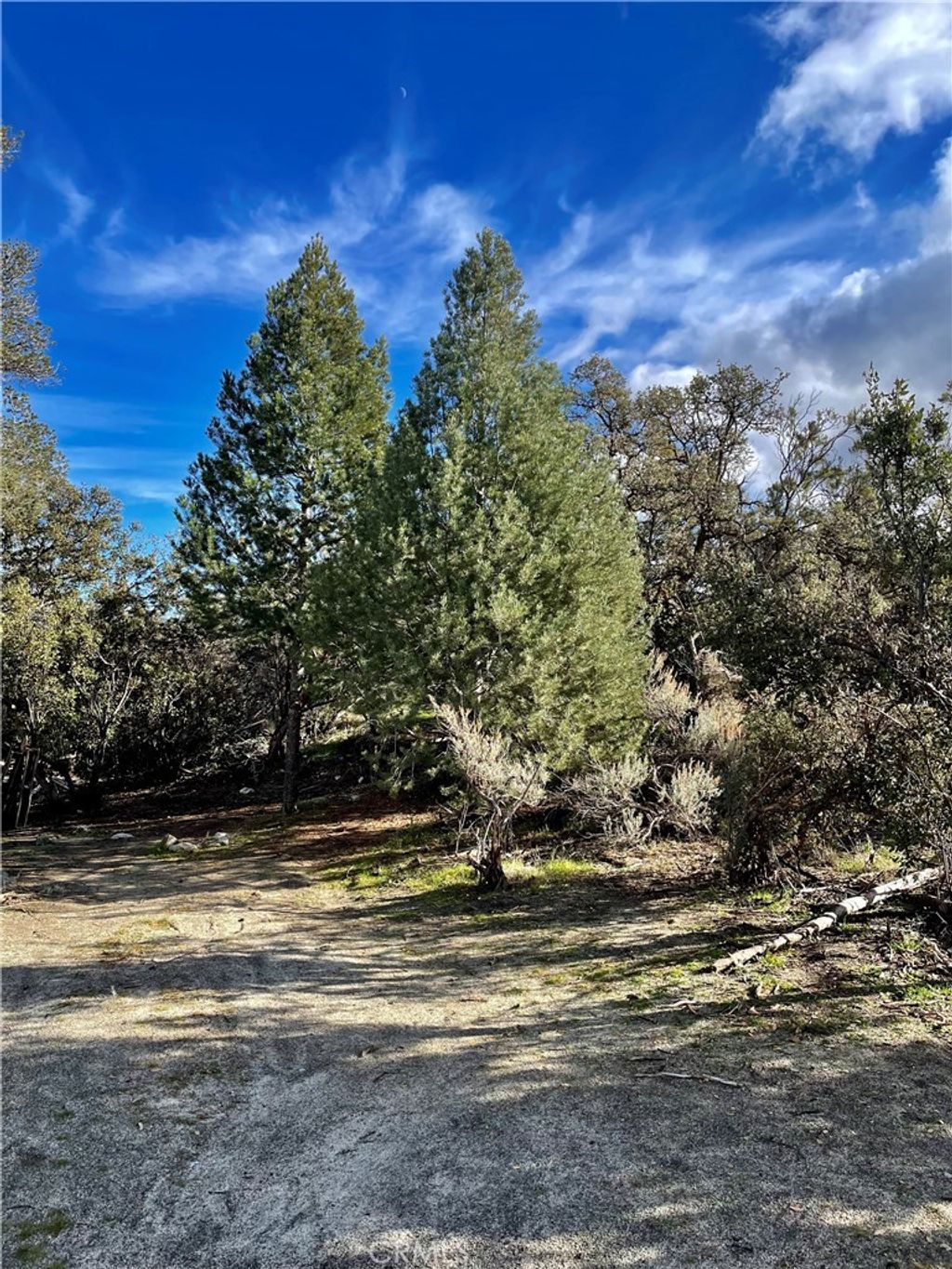listing image 130720283898458641489