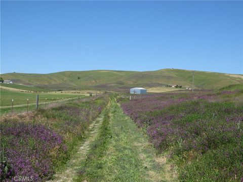Tiny photo for 0 Camp 8 Road, Paso Robles, CA 93446 (MLS # NS24178810)