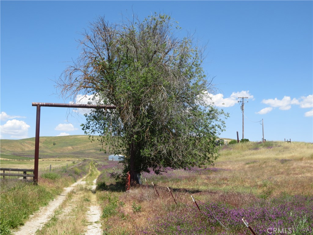 0 Camp 8 Road