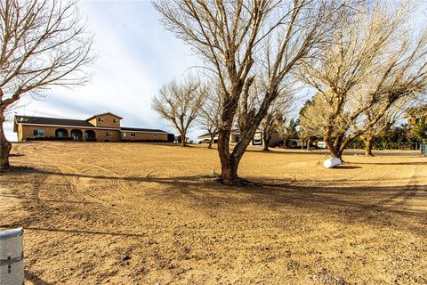 A home in Newberry Springs