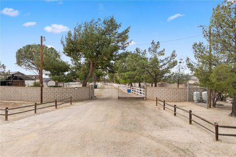 listing image 52