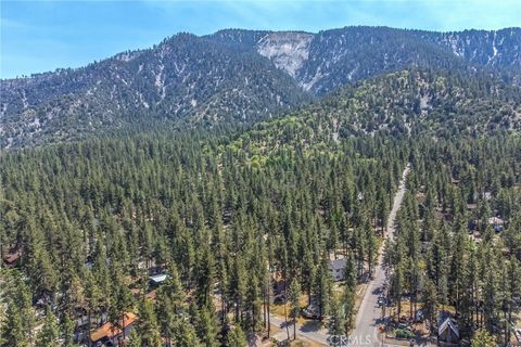 A home in Wrightwood