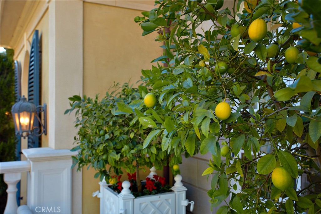 Bear Brand Ranch Custom (BBR) - Residential