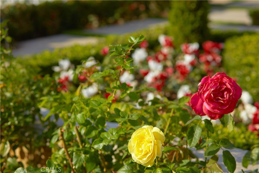 Bear Brand Ranch Custom (BBR) - Residential