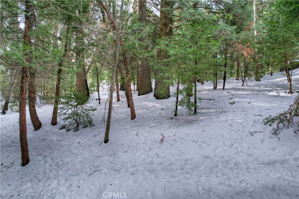 Cedar Glen (CEDG) - Land