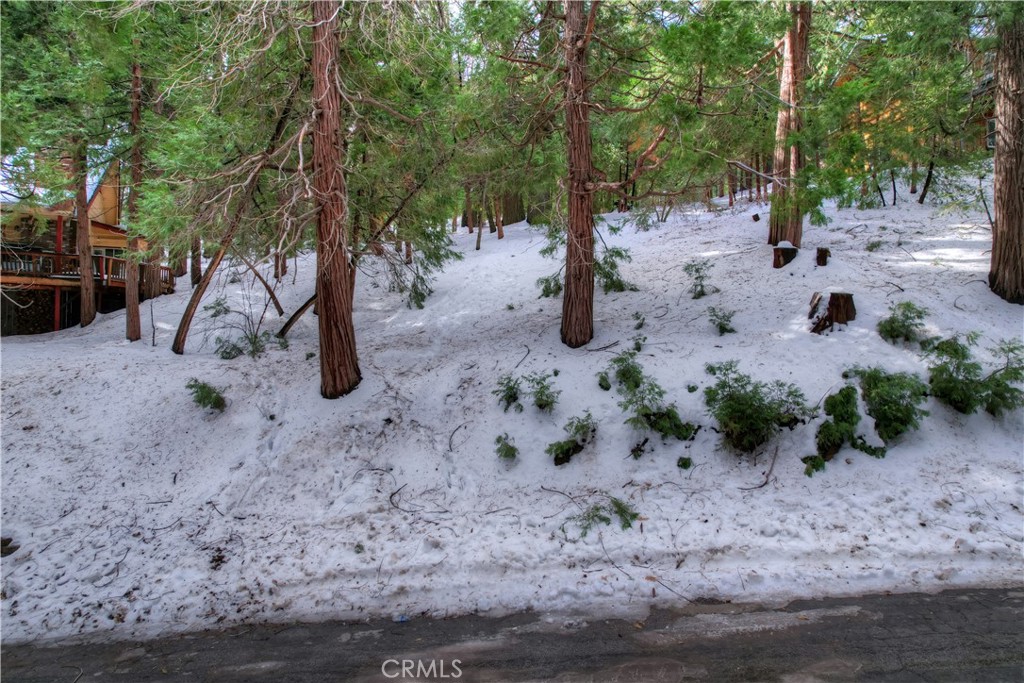 Cedar Glen (CEDG) - Land