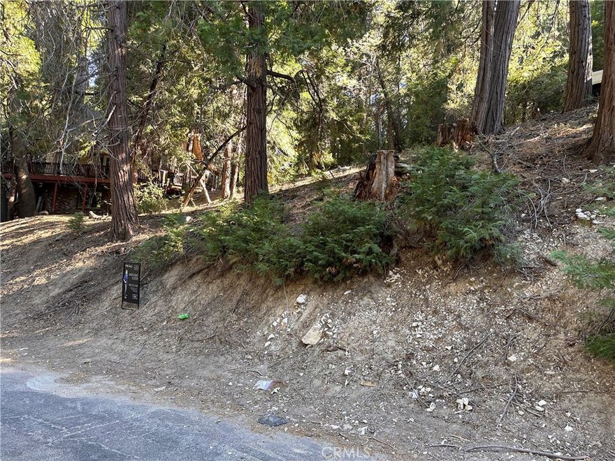 WHAT A GREAT PIECE OF LAND!!!!!  Very Buildable and in a Killer Location!!!  Walking Distance to the Restaurants & Stores in Cedar Glen and a Short Drive to the Lake Arrowhead Village!!  Great Neighborhood to Build Your Dream Home with Nice Spacing Between the Homes and this Section of Cedar Glen is on Sewer! Road is Plowed & Maintained too!  Great Treed Lot with Lots of Room!!  Come & See (Just to the Left of 29037 Alder Terrace)!!! Seller Can Carry!