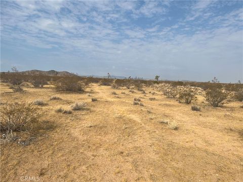 Photo of 338 Stable Road, Landers, CA 92285 (MLS # IV24221473) Photo of 338 Stable Road, Landers, CA 92285 (MLS # IV24221473)