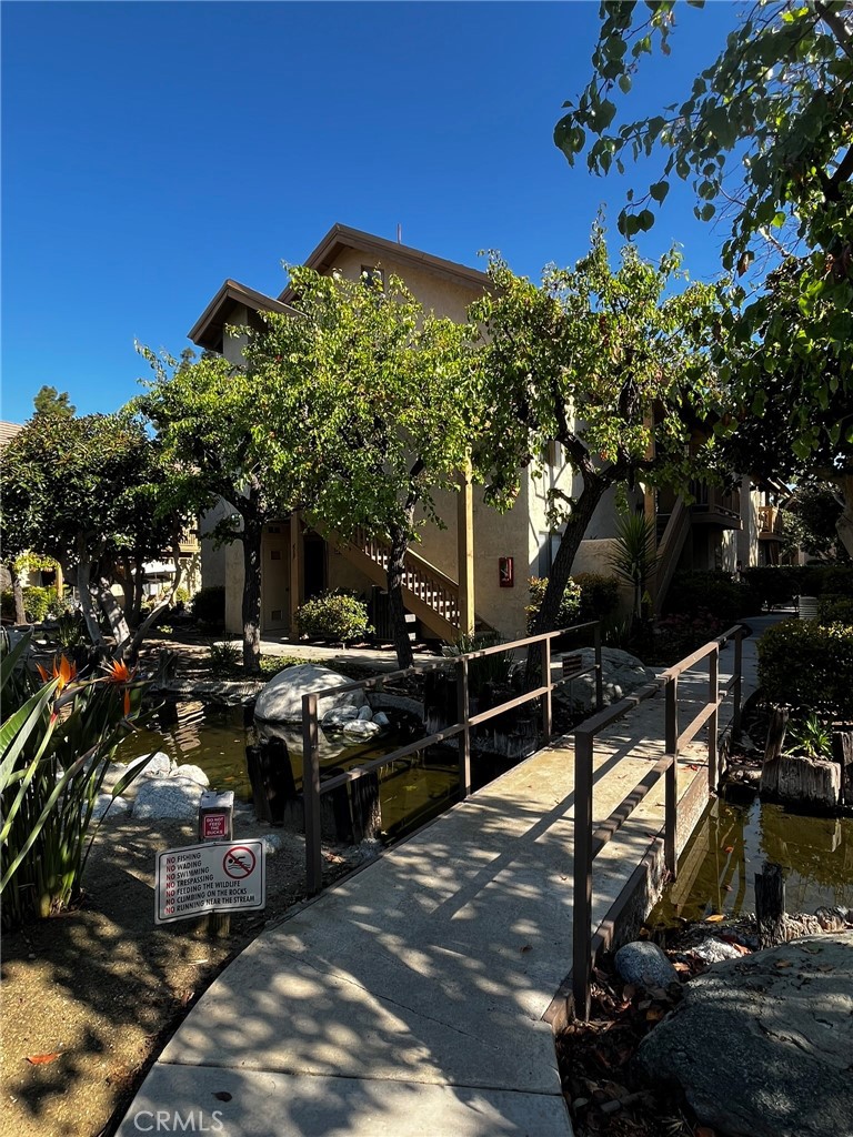 461 Orange Blossom