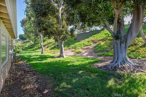 A home in Laguna Woods